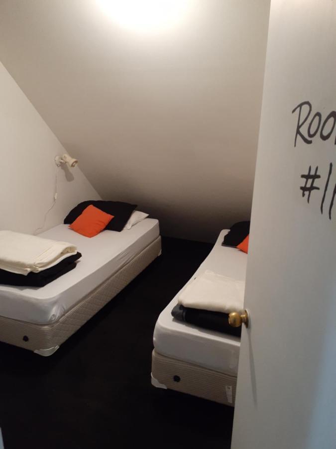 Hostel Bouncing Lamb Backpackers Nelson Zimmer foto